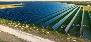 First Solar簽新客戶！獲1GW組件大單